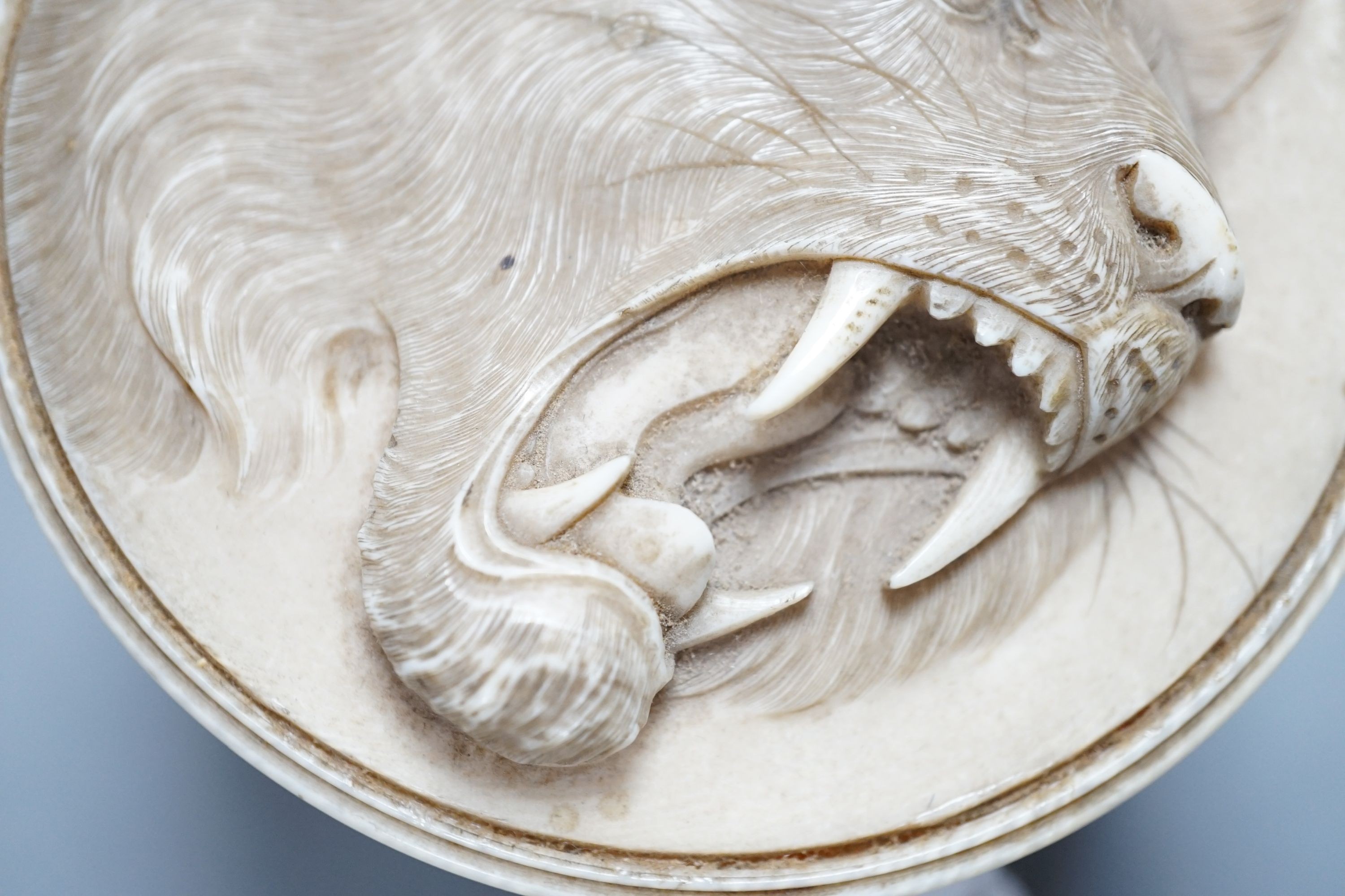 A Japanese ivory box and cover, Meiji period, carved with tigers, 9.2cm